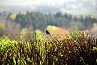 slides/DSC_0510b.JPG  DSC_0510b
